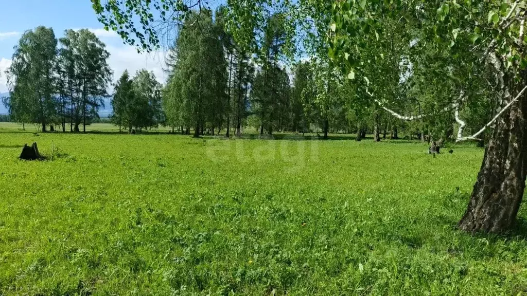 Участок в Алтай, Усть-Коксинский район, с. Мульта Школьная ул. ... - Фото 1