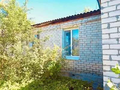 3-к. квартира, 49,3 м, 1/1 эт. - Фото 1