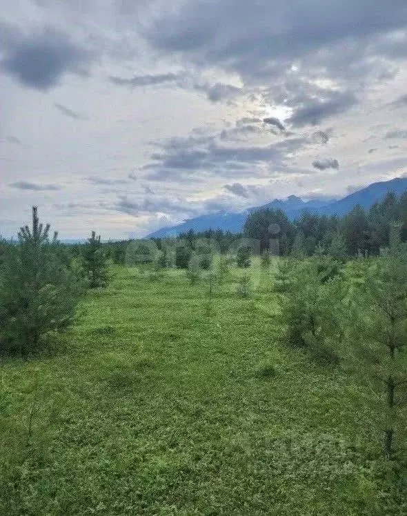 Участок в Бурятия, Тункинский район, с. Тагархай ул. Тулаева (20.5 ... - Фото 0