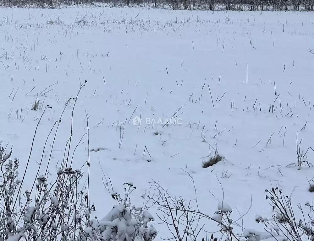 Участок в Пензенская область, Пензенский район, Воскресеновский ... - Фото 0