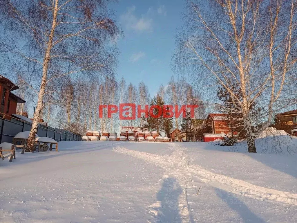 Участок в Новосибирская область, Новосибирский район, Каменский ... - Фото 1