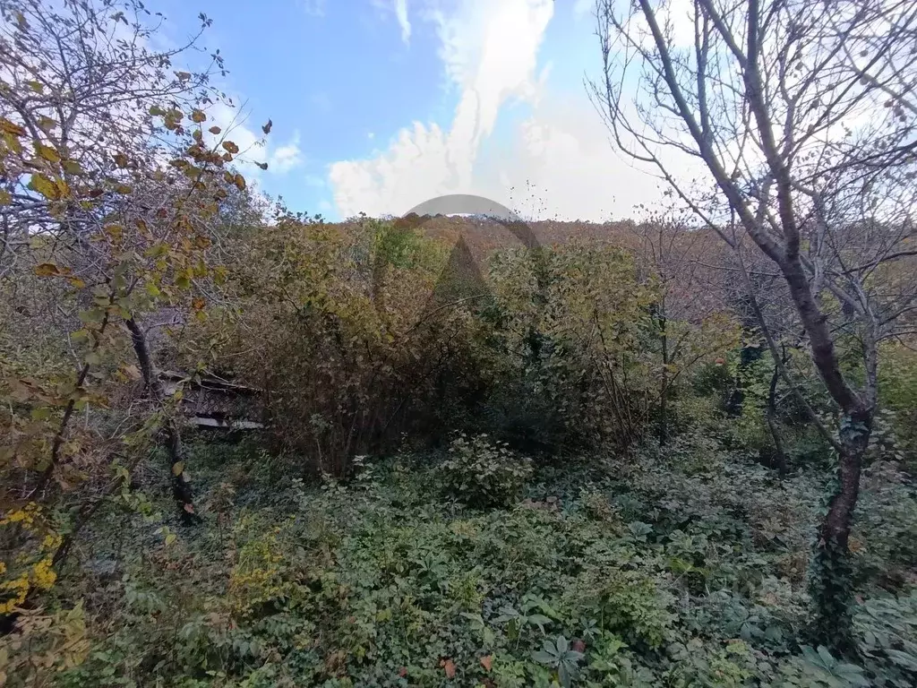 Участок в Краснодарский край, Туапсинский муниципальный округ, ... - Фото 2