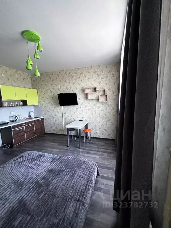 1-к кв. Псковская область, Псков ул. Ижорского Батальона, 57А (26.0 м) - Фото 2