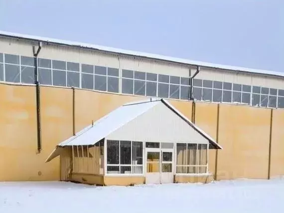 Склад в Самарская область, Чапаевск ул. Макаренко, 16Б (3617 м) - Фото 1