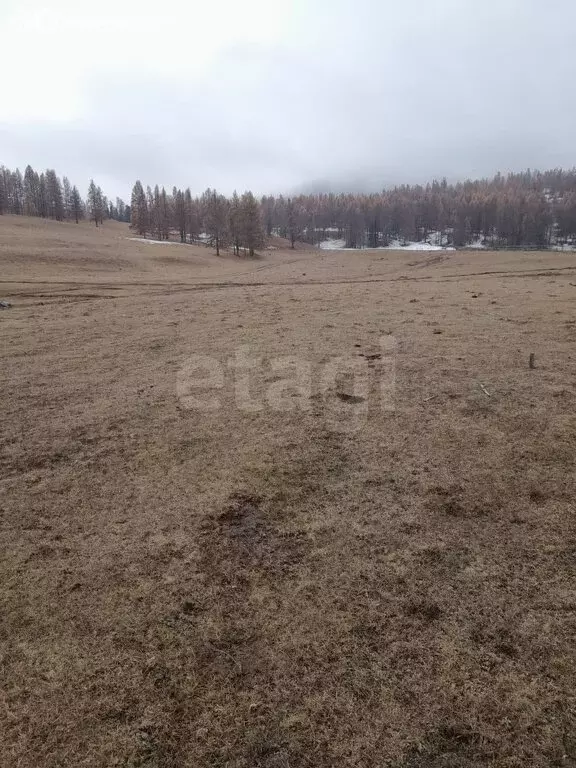 Участок в Улаганский район, село Улаган (104.98 м) - Фото 2