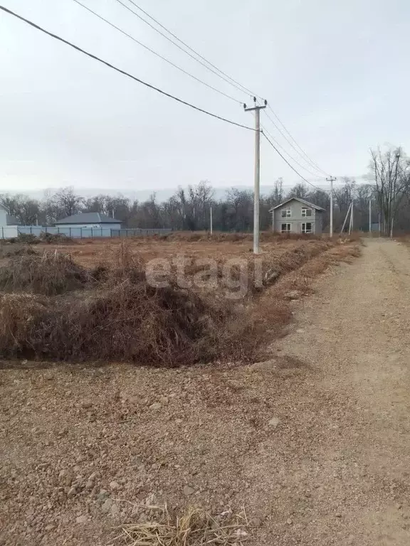 Участок в Приморский край, Артемовский городской округ, с. Кневичи  ... - Фото 0