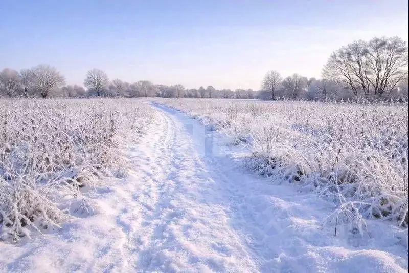 Участок в Московская область, Раменский муниципальный округ, Усадьба ... - Фото 2