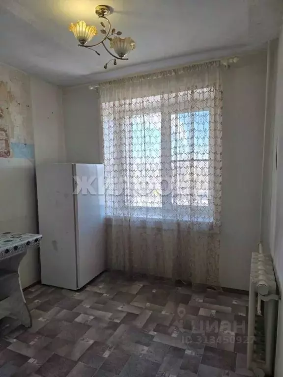 1-к кв. Забайкальский край, Борзя ул. Лазо, 51А (28.8 м) - Фото 0