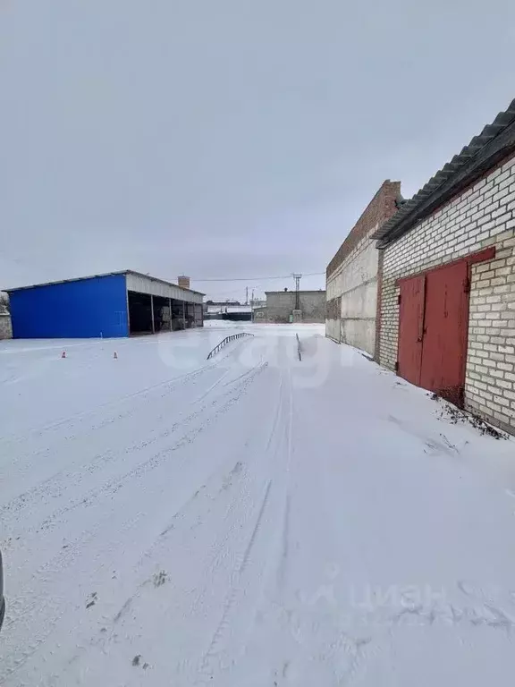 Гараж в Белгородская область, Алексеевка ул. Победы, 44 (25 м) - Фото 2