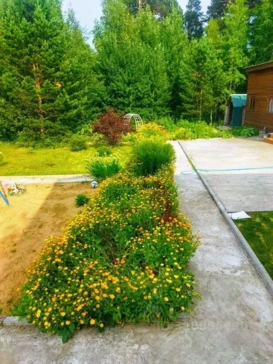 Дом в Иркутская область, Иркутский муниципальный округ, Лесная ... - Фото 2