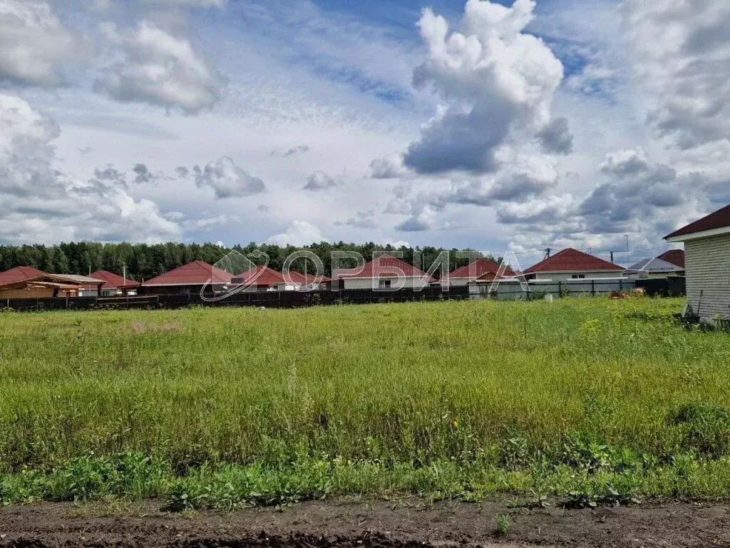 Участок в Тюменская область, Тюменский муниципальный округ, с. ... - Фото 2