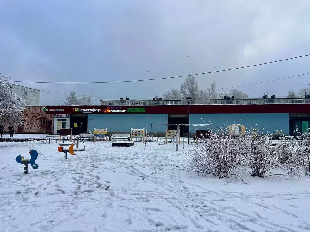 Торговая площадь в Ленинградская область, Выборгский район, Приморское ... - Фото 1