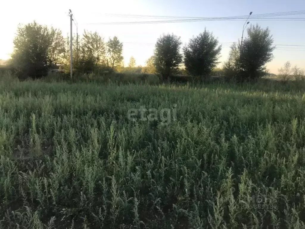 участок в забайкальский край, читинский район, с. засопка ул. . - Фото 1