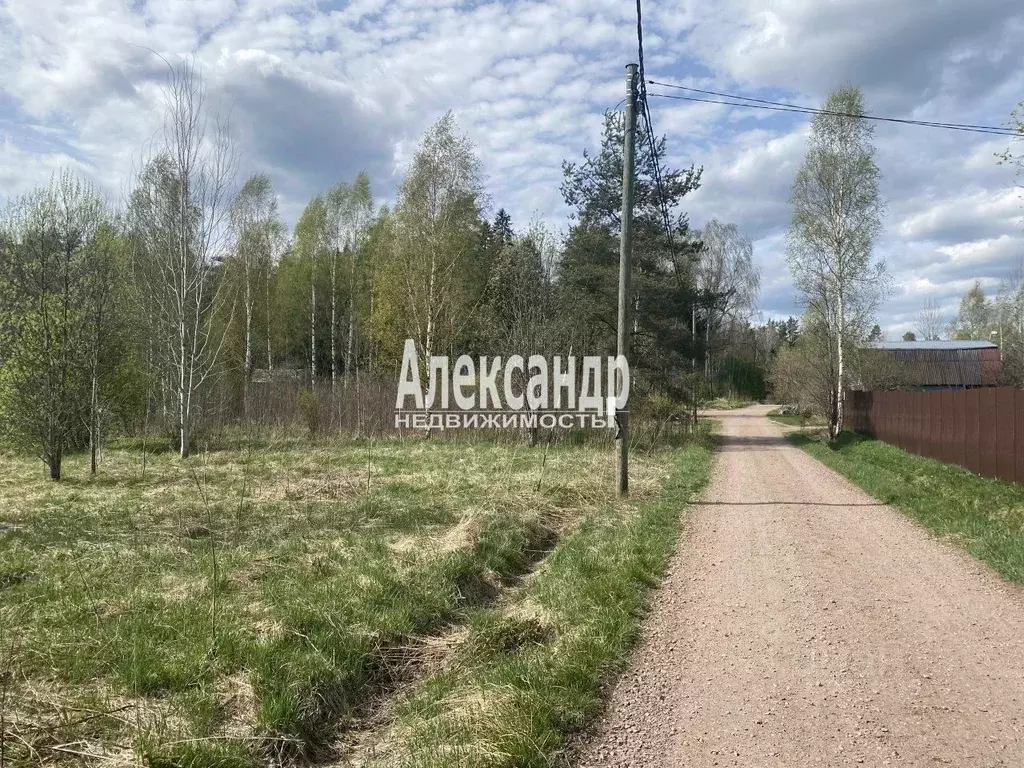 Участок в Ленинградская область, Выборгский район, Советское городское ... - Фото 2