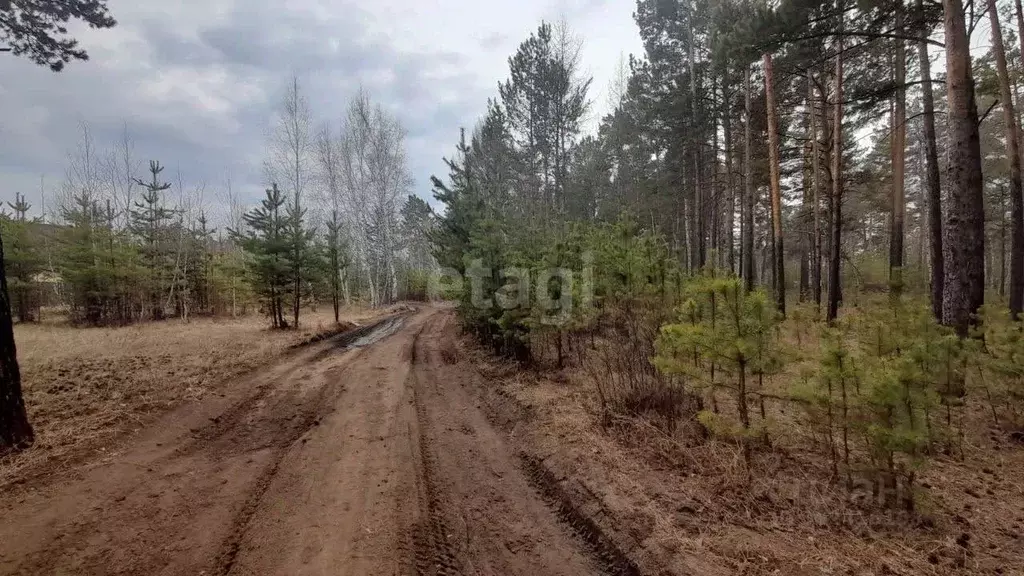 участок в забайкальский край, читинский район, с. смоленка (9.4 сот.) - Фото 1