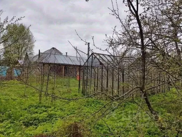 Участок в Москва Лесные Дали СНТ, 25 (6.0 сот.) - Фото 2