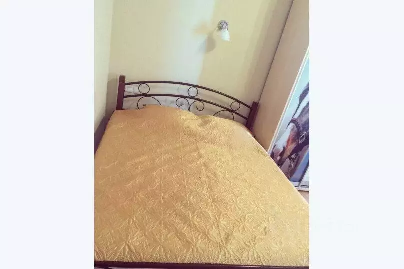 1-к кв. Крым, Ялта муниципальный округ, Кореиз пгт ул. Южная, 58Б ... - Фото 2