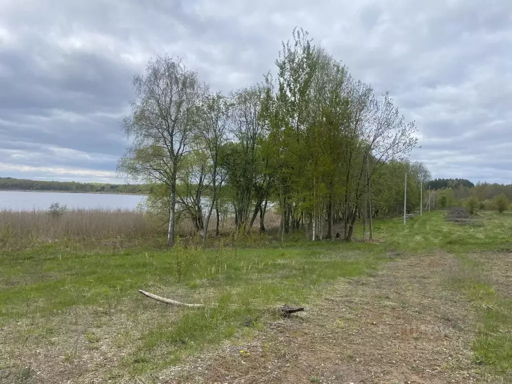 Участок в Псковская область, Куньинский район, Жижицкая волость  (17.0 ... - Фото 2