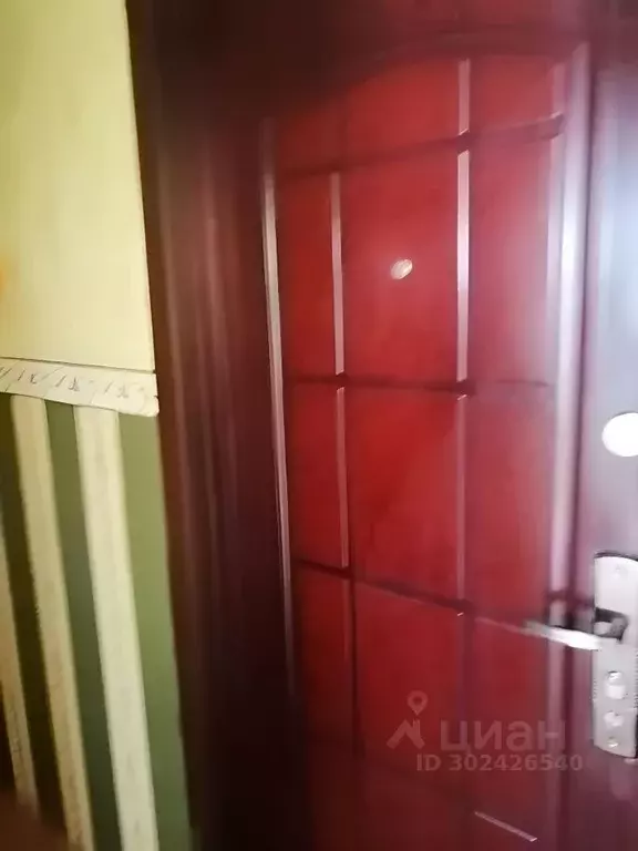 1-к кв. Омская область, Омск Заозерный мкр, ул. Бородина, 4/1 (30.0 м) - Фото 1