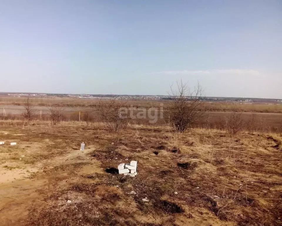 Участок в Воронежская область, Рамонский район, Русскогвоздевское ... - Фото 0