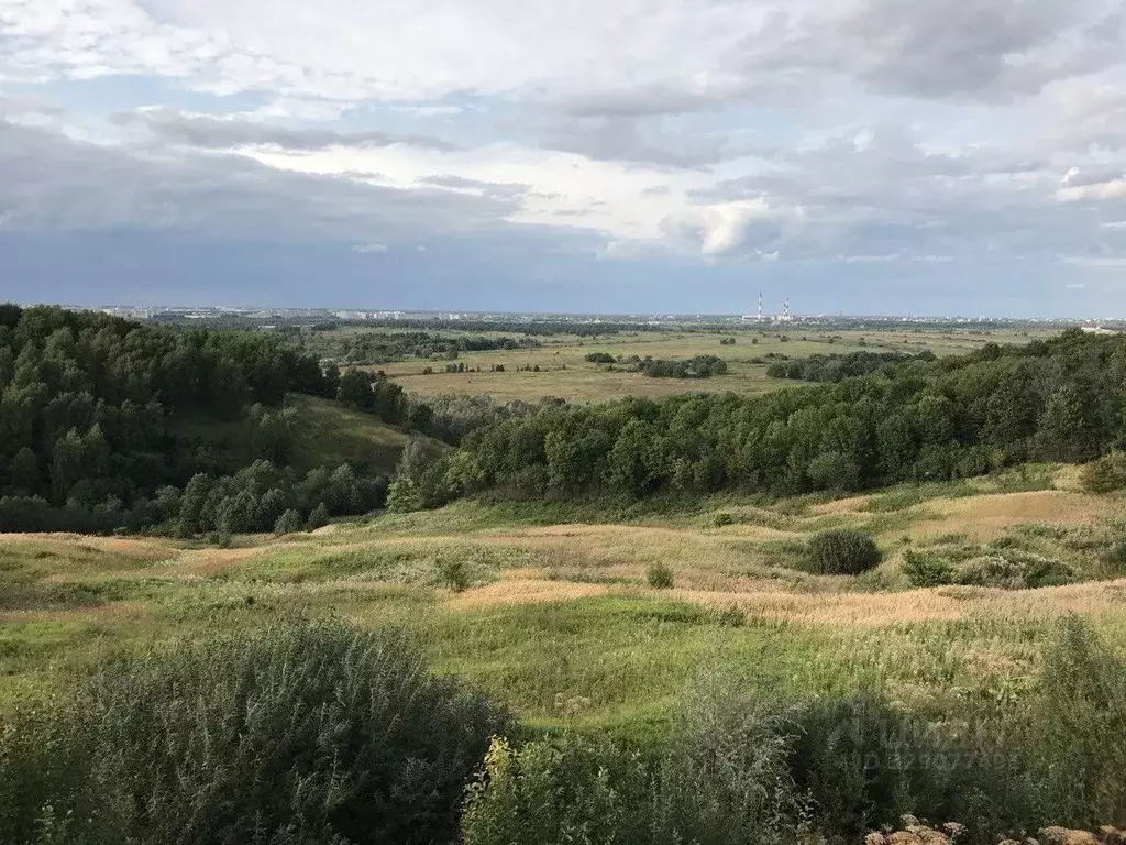 Участок в Нижегородская область, Богородский муниципальный округ, д. ... - Фото 1