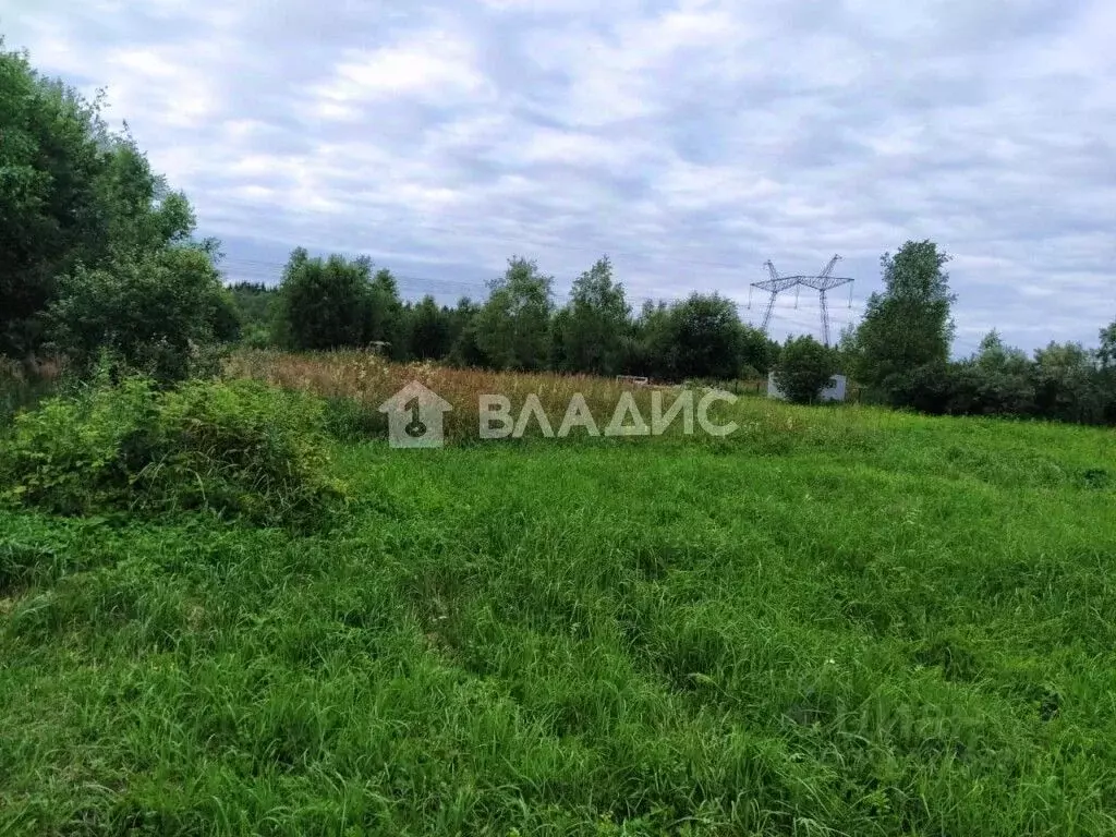 Участок в Калужская область, Малоярославецкий район, Головтеево с/пос, ... - Фото 2