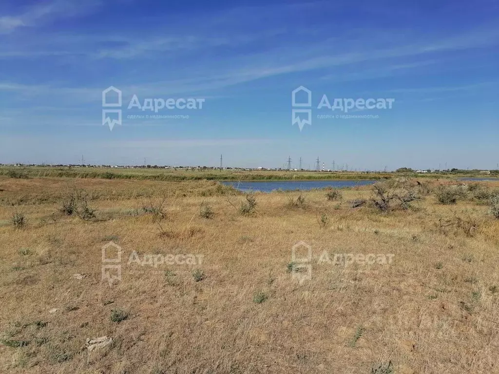 Участок в Волгоградская область, Светлоярский район, с. Большие ... - Фото 2