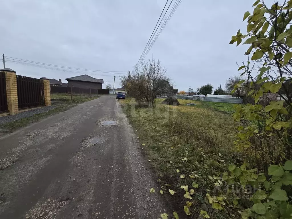 Участок в Брянская область, Брянский район, Снежское с/пос, с. ... - Фото 1