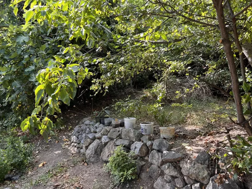 Участок в Крым, Ялта муниципальный округ, Кореиз пгт ул. ... - Фото 2