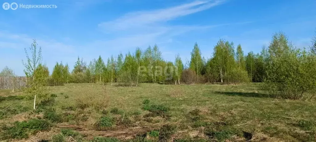 Участок в Выкса, улица Локтя (1074 м) - Фото 1