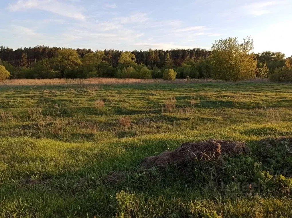 Участок в Московская область, Ступино ул. Туманная (15.0 сот.) - Фото 0