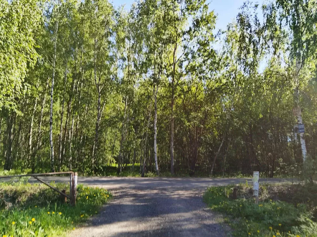 Продается дача в с. Никулино - Фото 1