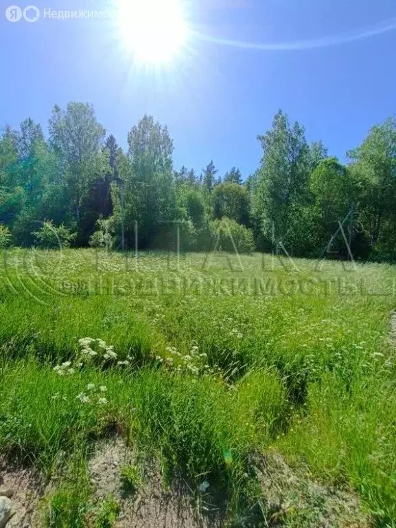 Участок в Выборгский район, Каменногорское городское поселение, СНТ ... - Фото 1