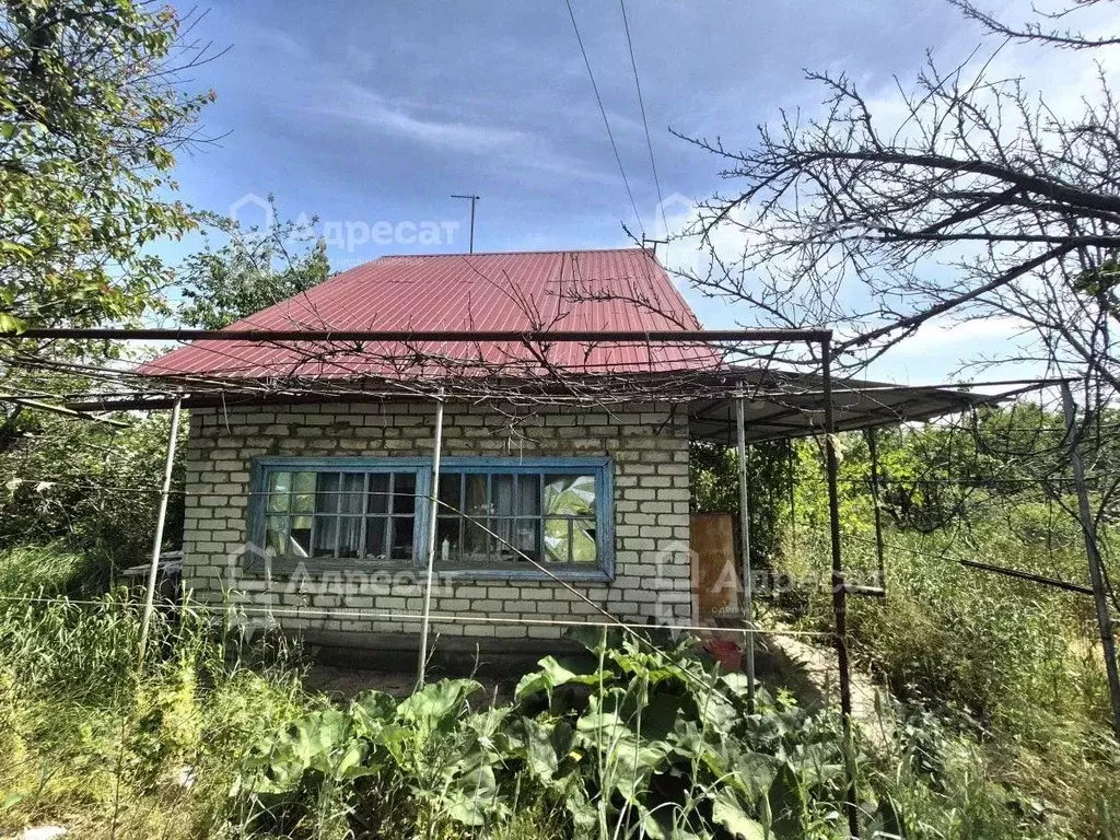 Дом в Волгоградская область, Волгоград Восход СНТ,  (23 м) - Фото 0