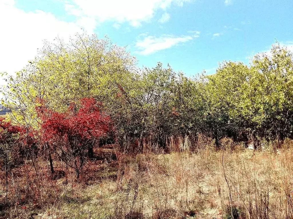 Участок в Ставропольский край, Предгорный муниципальный округ, пос. ... - Фото 2