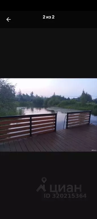 Участок в Новосибирская область, Коченевский район, Озерное ДНТ ул. ... - Фото 0
