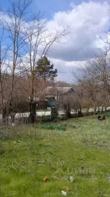 Участок в Краснодарский край, Новороссийск городской округ, пос. ... - Фото 0