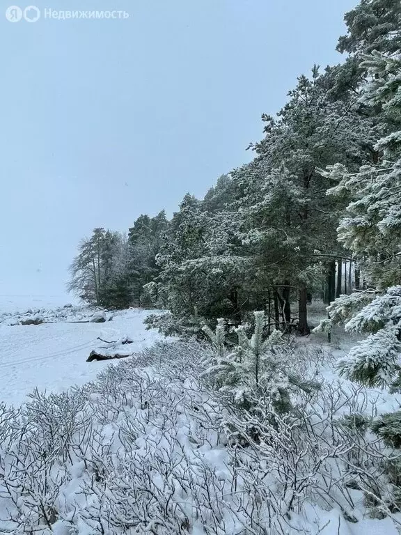 Участок в посёлок Пески, коттеджный посёлок Акватория (16.77 м) - Фото 1