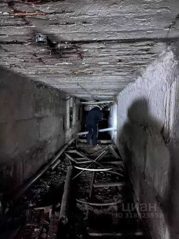 Помещение свободного назначения в Архангельская область, Вычегодский ... - Фото 1