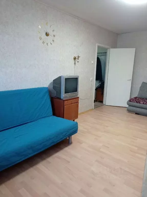 1-к кв. Санкт-Петербург просп. Культуры, 24К2 (33.5 м) - Фото 1