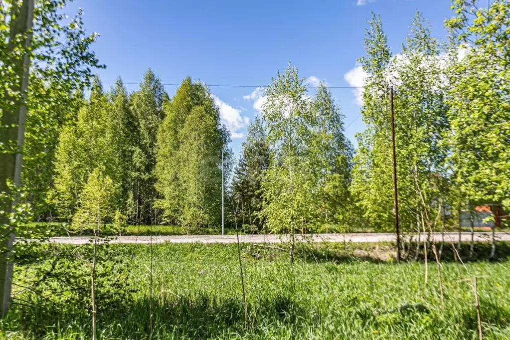 Участок в Новосибирская область, Новосибирский район, Барышевский ... - Фото 0