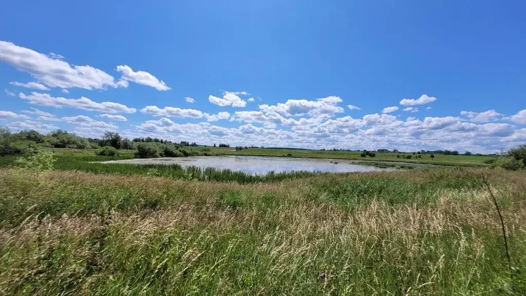 Участок в Пермский край, Пермский муниципальный округ, д. Касимово ул. ... - Фото 1