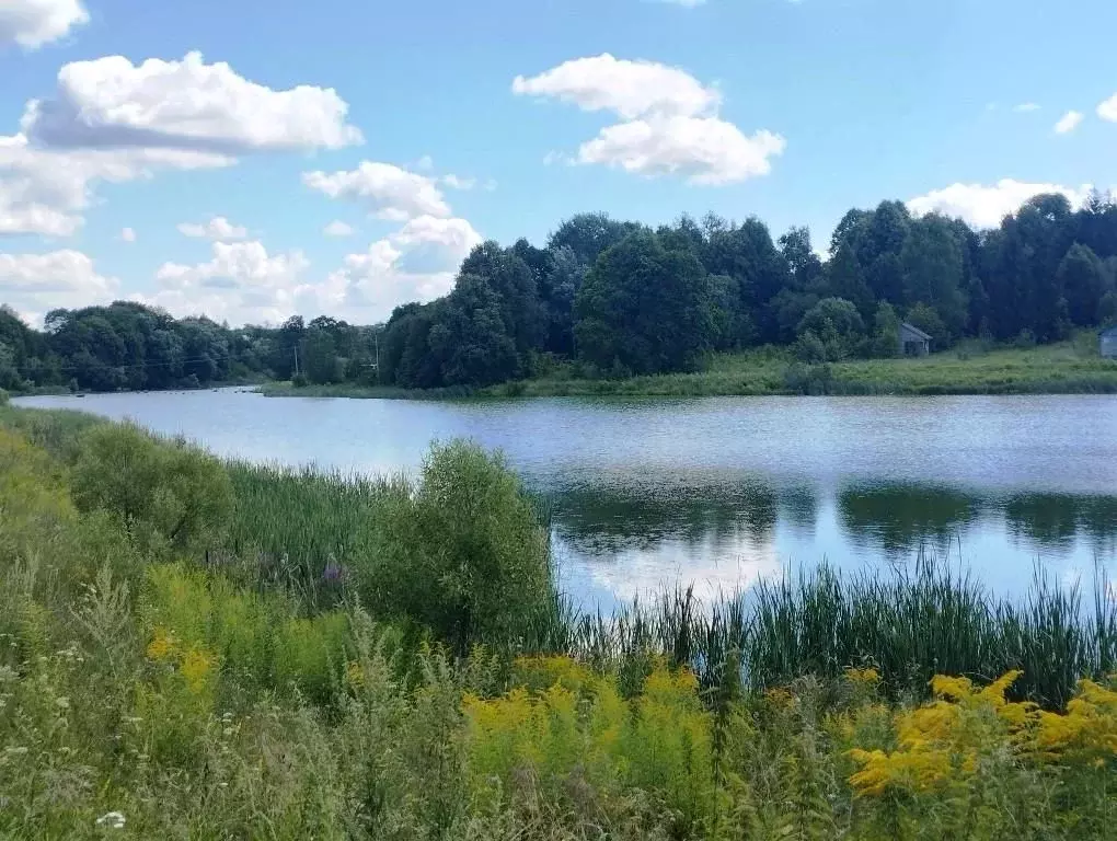 Участок в Тульская область, Тула городской округ, с. Дорофеево  (15.0 ... - Фото 2