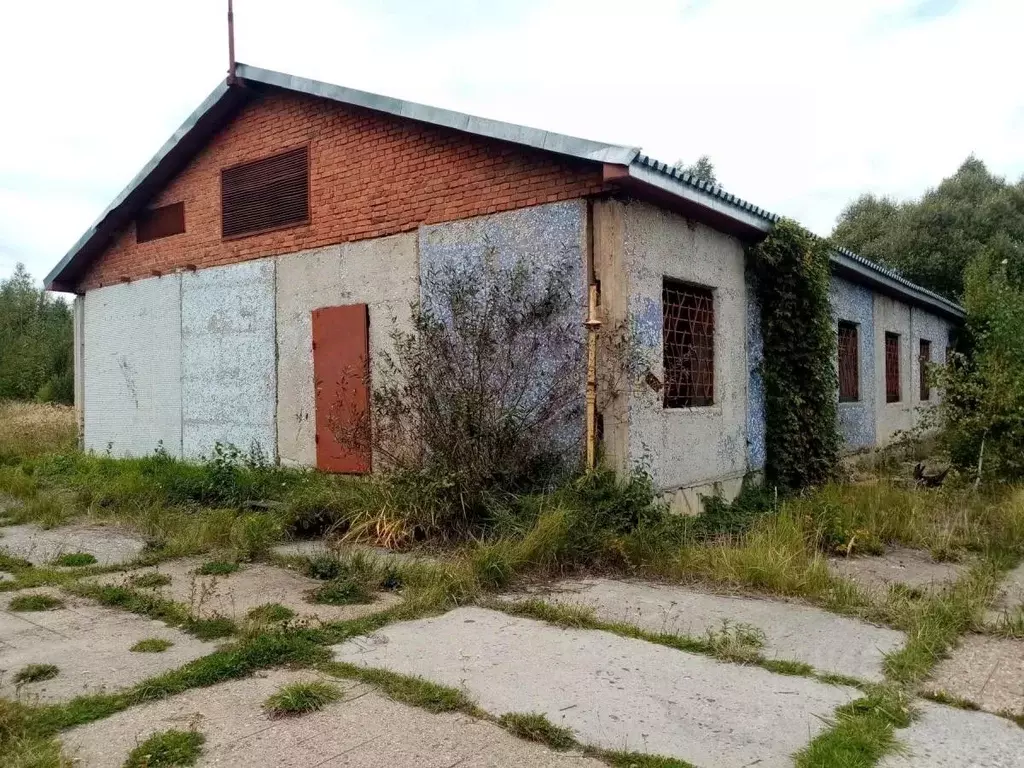 Производственное помещение в Калужская область, с. Хвастовичи ул. ... - Фото 1