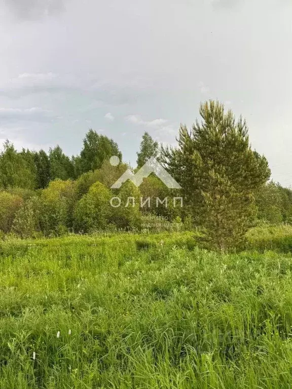 Участок в Вологодская область, д. Новое (Борисовский сельсовет)  (30.0 ... - Фото 2