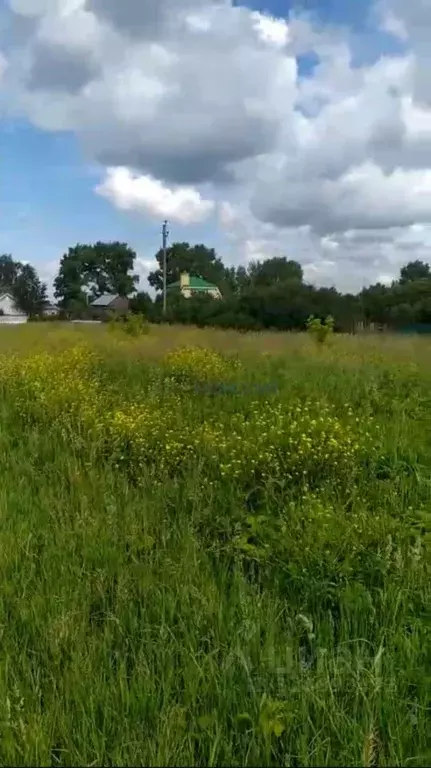 Участок в Нижегородская область, Нижний Новгород с. Вязовка, ул. ... - Фото 1