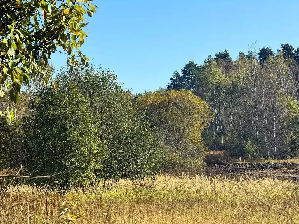 Участок в Московская область, Дмитровский муниципальный округ, Ерыково ... - Фото 2