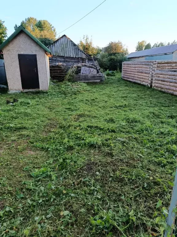 Участок в Новгородская область, Боровичский район, Опеченское с/пос, ... - Фото 0