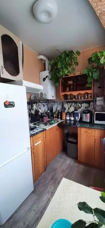 1-к кв. Краснодарский край, Сочи ул. Тимирязева, 44Г (33.0 м) - Фото 0
