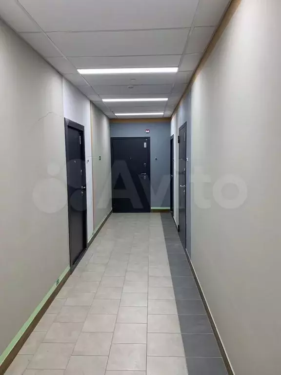 Квартира-студия, 32 м, 4/6 эт. - Фото 1